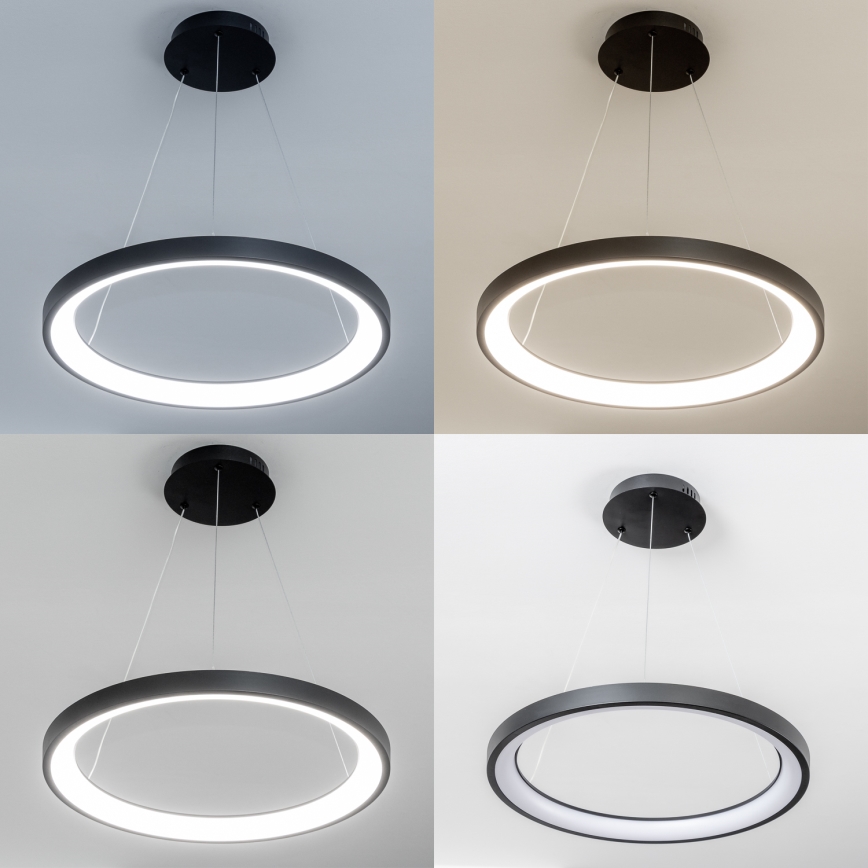 Brilagi - dimeriuojamas LED pakabinamas šviestuvas ant laido FALCON SLIM LED/42W/230V 3000-6500K Ø 50 cm juodas + nuotolinio valdymo pultas