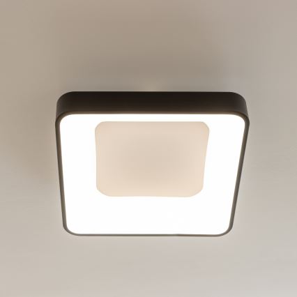 Brilagi - Dimeriuojamas LED lubų šviestuvas FALCON II LED/80W/230V 3000-6500K 40x40 cm juodas + nuotolinis pultelis