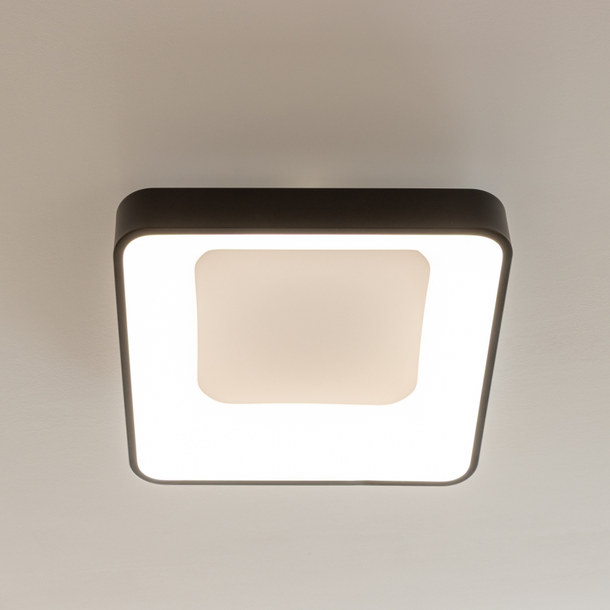 Brilagi - Dimeriuojamas LED lubų šviestuvas FALCON II LED/80W/230V 3000-6500K 40x40 cm juodas + nuotolinis pultelis