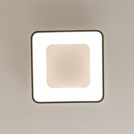 Brilagi - Dimeriuojamas LED lubų šviestuvas FALCON II LED/80W/230V 3000-6500K 40x40 cm juodas + nuotolinis pultelis