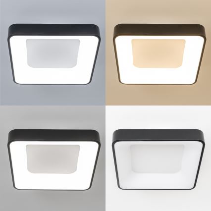 Brilagi - Dimeriuojamas LED lubų šviestuvas FALCON II LED/80W/230V 3000-6500K 40x40 cm juodas + nuotolinis pultelis