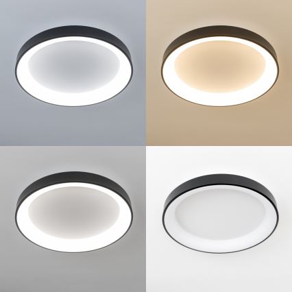 Brilagi - dimeriuojamas LED lubinis šviestuvas FALCON II LED/99W/230V 3000-6500K skersmuo 60 cm juodas + nuotolinis valdymas