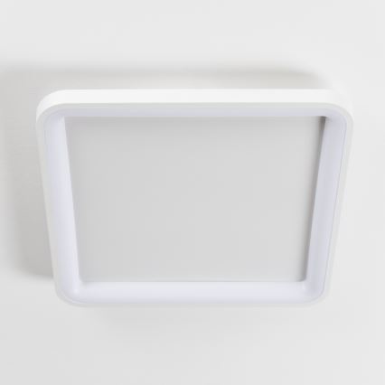 Brilagi - LED dimeriuojamas lubinis šviestuvas FALCON SLIM LED/50W/230V 3000-6500K 50x50 cm baltas + nuotolinis valdymas