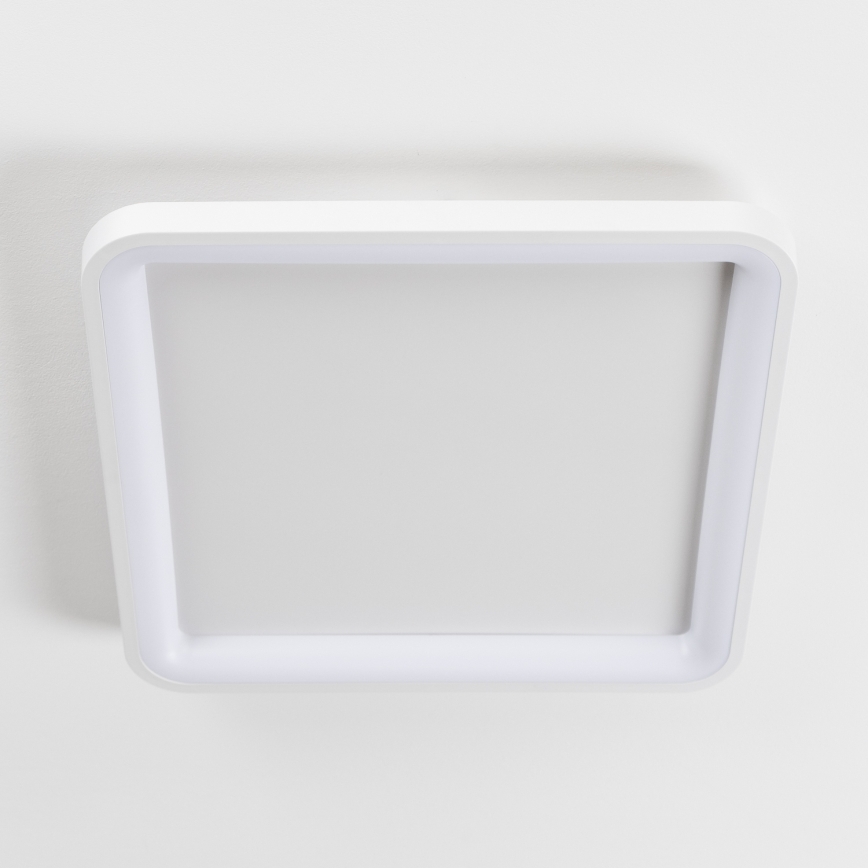 Brilagi - LED dimeriuojamas lubinis šviestuvas FALCON SLIM LED/50W/230V 3000-6500K 50x50 cm baltas + nuotolinis valdymas