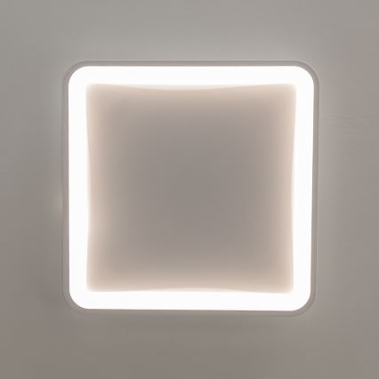 Brilagi - LED dimeriuojamas lubinis šviestuvas FALCON SLIM LED/50W/230V 3000-6500K 50x50 cm baltas + nuotolinis valdymas