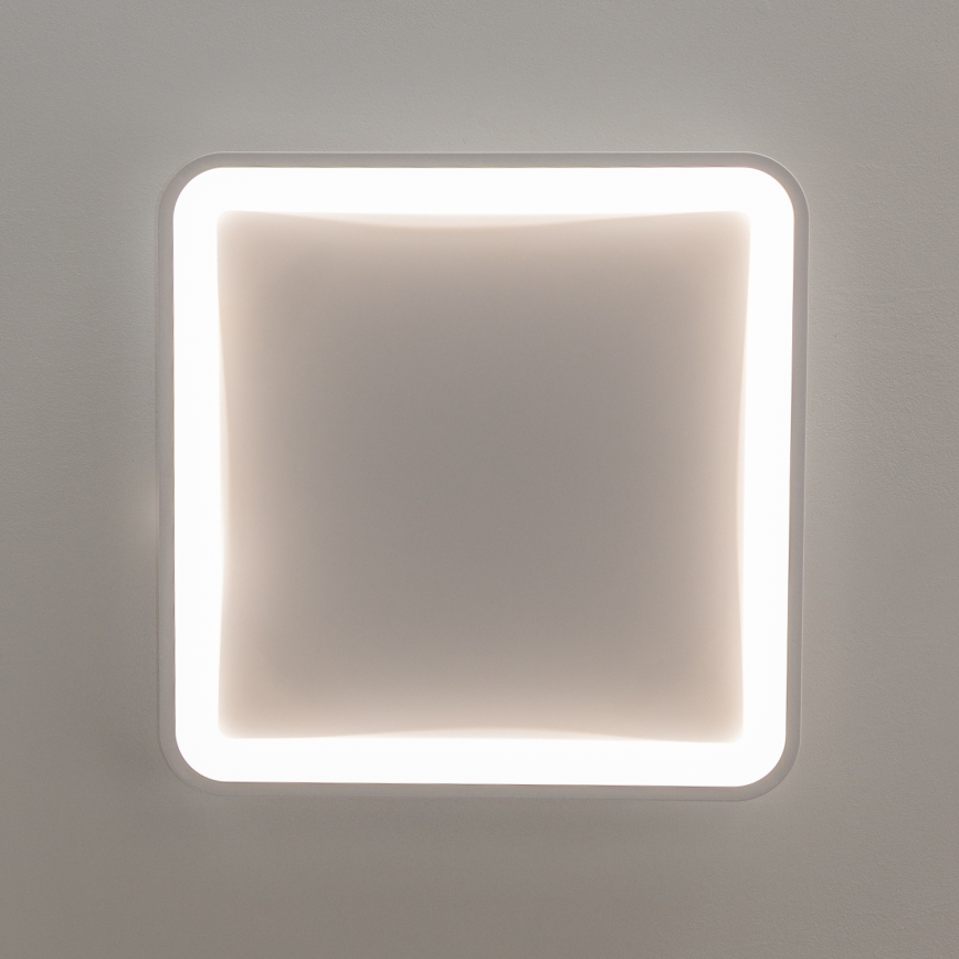 Brilagi - LED dimeriuojamas lubinis šviestuvas FALCON SLIM LED/50W/230V 3000-6500K 50x50 cm baltas + nuotolinis valdymas