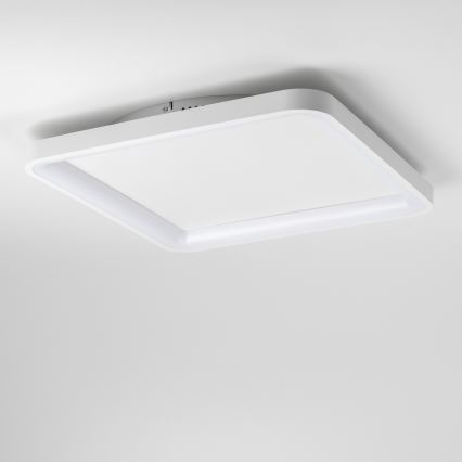 Brilagi - LED dimeriuojamas lubinis šviestuvas FALCON SLIM LED/50W/230V 3000-6500K 50x50 cm baltas + nuotolinis valdymas