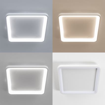 Brilagi - LED dimeriuojamas lubinis šviestuvas FALCON SLIM LED/50W/230V 3000-6500K 50x50 cm baltas + nuotolinis valdymas