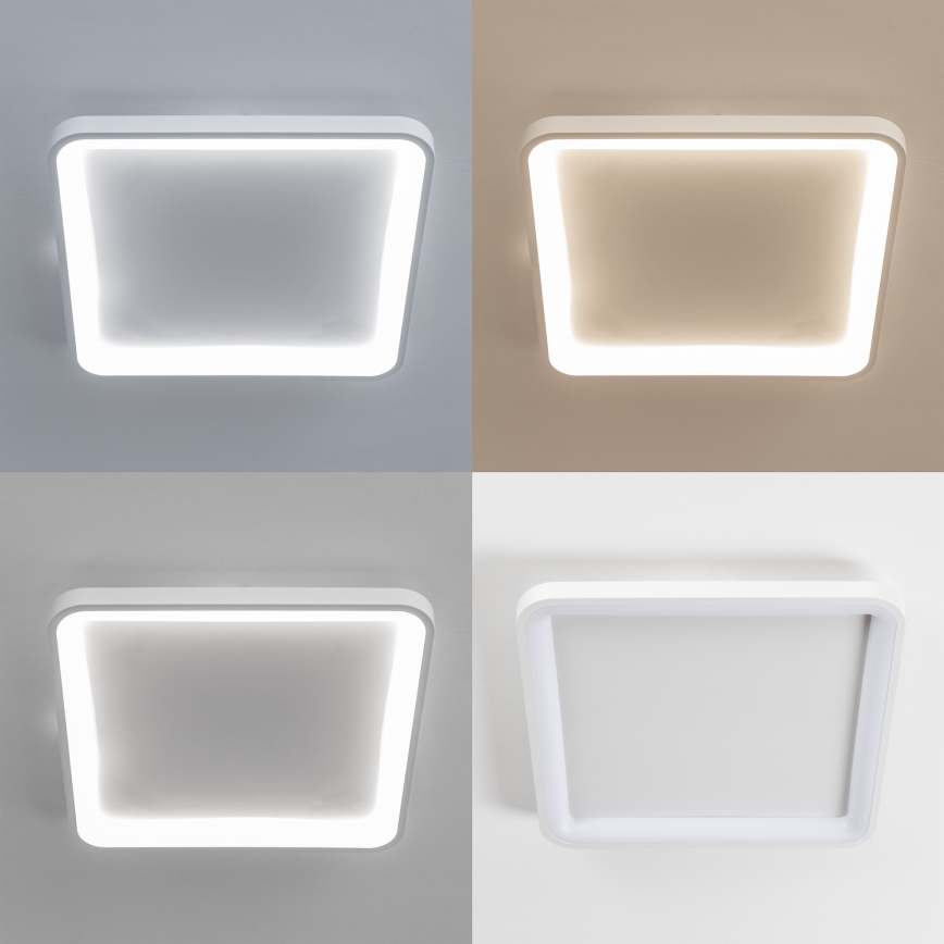 Brilagi - LED dimeriuojamas lubinis šviestuvas FALCON SLIM LED/50W/230V 3000-6500K 50x50 cm baltas + nuotolinis valdymas