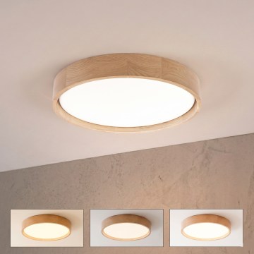Brilagi - dimeriuojamas LED lubinis šviestuvas MANAROLA REMOTE LED/24W/230V 3000-6500K, skersmuo 41 cm, ąžuolas + su nuotolinio valdymo pulteliu