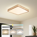 BRILAGI - Dimeriuojamas LED lubinis šviestuvas MOLINA SQUARE LED/80W/230V 3000-6000K ąžuolas 60x60 cm + nuotolinis valdymas