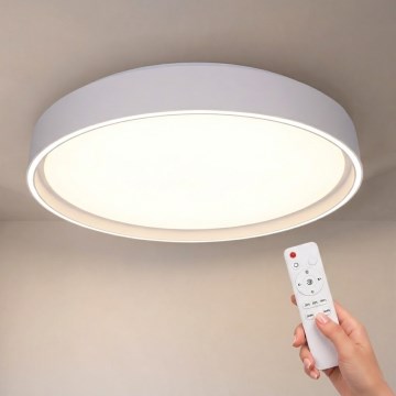 Brilagi - Dimeriuojamas LED lubinis šviestuvas NANCI LED/60W/230V 3000-6500K skersmuo 49 cm baltas + nuotolinis valdymas