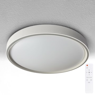 Brilagi - dimeriuojamas LED lubinis šviestuvas NANCI LED/60W/230V 3000–6500K, skersmuo 49 cm, sidabrinis + nuotolinis valdymas