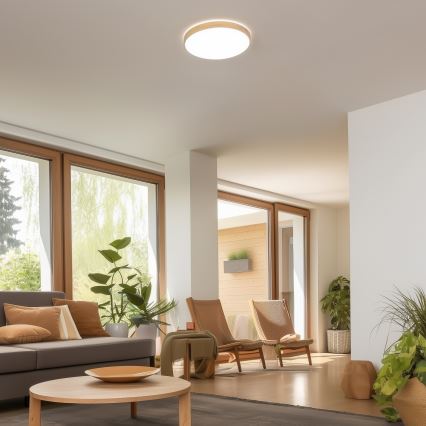 Brilagi - Reguliuojamas LED lubinis šviestuvas PINE LED/24W/230V, medinis, skersmuo 42 cm, 3000-6500K + nuotolinis valdymas