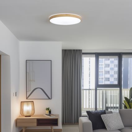 Brilagi - LED reguliuojamas lubų šviestuvas PINE LED/60W/230V Ø 52 cm 3000–6500K + nuotolinis valdymas