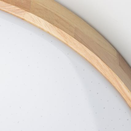 Brilagi - LED reguliuojamas lubų šviestuvas PINE LED/60W/230V Ø 52 cm 3000–6500K + nuotolinis valdymas