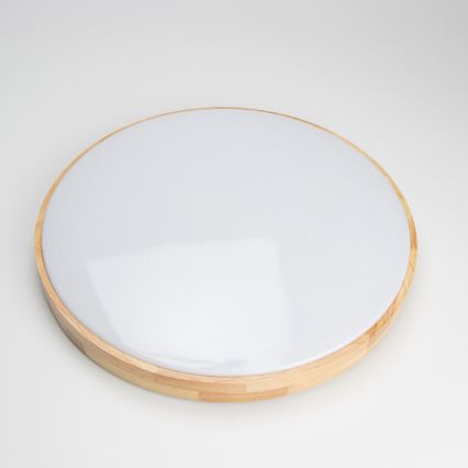 Brilagi - LED reguliuojamas lubų šviestuvas PINE LED/60W/230V Ø 52 cm 3000–6500K + nuotolinis valdymas