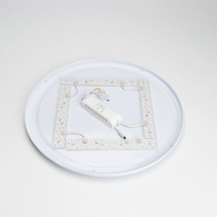 Brilagi - LED reguliuojamas lubų šviestuvas PINE LED/60W/230V Ø 52 cm 3000–6500K + nuotolinis valdymas