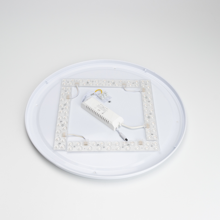 Brilagi - LED reguliuojamas lubų šviestuvas PINE LED/60W/230V Ø 52 cm 3000–6500K + nuotolinis valdymas