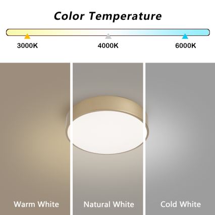 BRILAGI - reguliuojamas LED lubų šviestuvas POOL LED/24W/230V 3000-6000K skersmuo 20 cm auksinis + nuotolinis valdymas