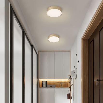 BRILAGI - reguliuojamas LED lubų šviestuvas POOL LED/24W/230V 3000-6000K skersmuo 20 cm auksinis + nuotolinis valdymas