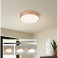 BRILAGI - Dimeriuojamas LED lubinis šviestuvas POOL LED/36W/230V 3000-6000K skersmuo 30 cm bronzinis + nuotolinis valdymas
