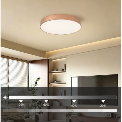 BRILAGI - Dimeriuojamas LED lubinis šviestuvas POOL, 60 W, 230 V, 3000–6000 K, skersmuo 50 cm, bronzinis + su nuotoliniu valdymu