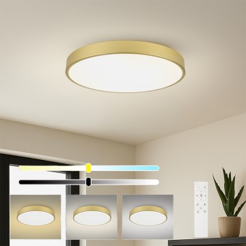 Brilagi - dimeriuojamas LED lubinis šviestuvas POOL SMART LED/100W/230V 3000-6000K 80 cm auksinės spalvos Wi-Fi Tuya + nuotolinis valdymas