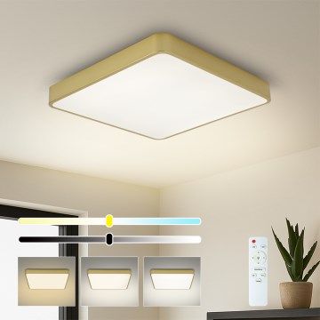 BRILAGI - Dimeriuojamas LED lubinis šviestuvas POOL SQUARE LED/36W/230V 3000-6000K 40x40 cm auksinis + nuotolinis valdymas