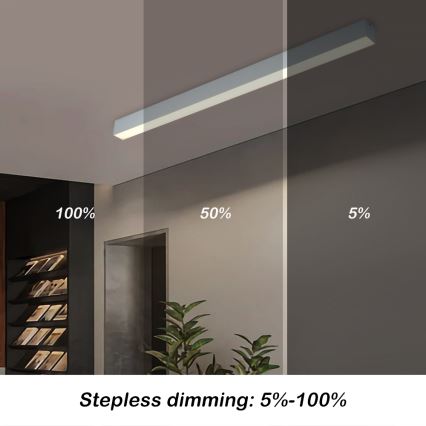 Brilagi - Dimeriuojamas LED lubinis šviestuvas SLEEKLINE SMART LED/40W/230V 3000-6000K Wi-Fi Tuya sidabrinis + nuotolinis valdymas