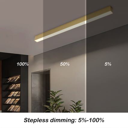 Brilagi - LED reguliuojamas lubinis šviestuvas SLEEKLINE SMART LED/40W/230V 3000-6000K Wi-Fi Tuya auksinis + nuotolinis pultas