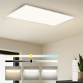 Brilagi - Dimeriuojamas LED lubinis šviestuvas SLIMFRAME LED/80W/230V 120x60 cm 3000-6000K baltas + nuotolinis valdymas