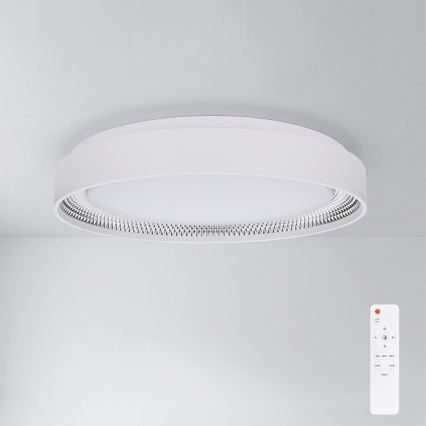 Brilagi - Dimeriuojamas LED lubinis šviestuvas WALDO LED/48W/230V 3000-6500K skersm. 40 cm balta/sidabrinė + su nuotoliniu pultu