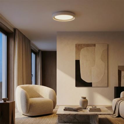 Brilagi - Dimeriuojamas LED lubinis šviestuvas WALDO LED/48W/230V 3000-6500K skersm. 40 cm balta/sidabrinė + su nuotoliniu pultu