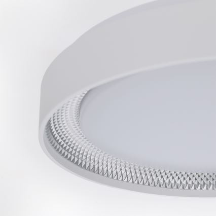 Brilagi - Dimeriuojamas LED lubinis šviestuvas WALDO LED/48W/230V 3000-6500K skersm. 40 cm balta/sidabrinė + su nuotoliniu pultu