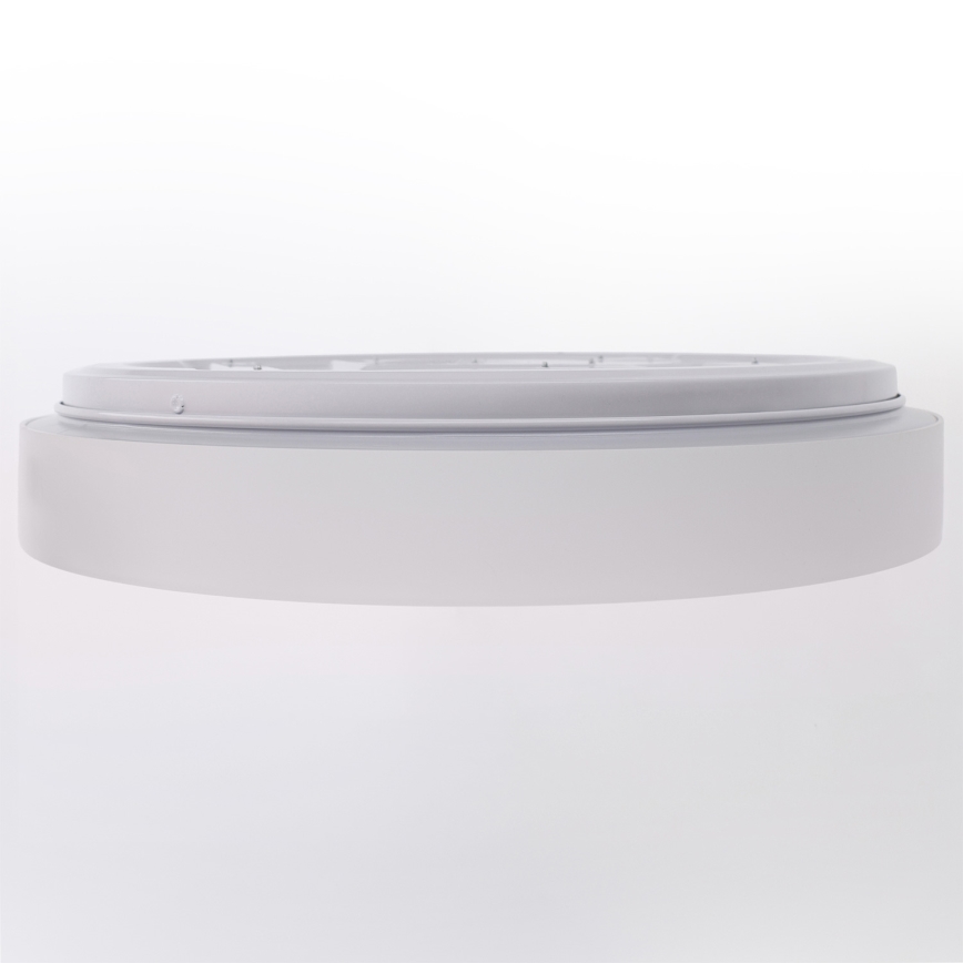 Brilagi - Dimeriuojamas LED lubinis šviestuvas WALDO LED/48W/230V 3000-6500K skersm. 40 cm balta/sidabrinė + su nuotoliniu pultu