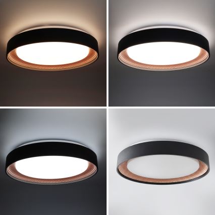 Brilagi - dimeriuojamas LED lubų šviestuvas WALDO LED/48W/230V 3000-6500K skersmuo 40 cm juoda/auksinė + nuotolinio valdymo pultas
