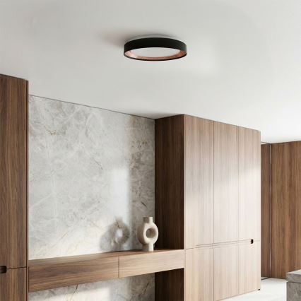 Brilagi - dimeriuojamas LED lubų šviestuvas WALDO LED/48W/230V 3000-6500K skersmuo 40 cm juoda/auksinė + nuotolinio valdymo pultas
