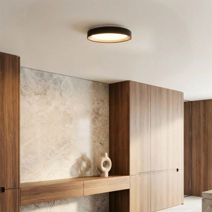 Brilagi - dimeriuojamas LED lubų šviestuvas WALDO LED/48W/230V 3000-6500K skersmuo 40 cm juoda/auksinė + nuotolinio valdymo pultas