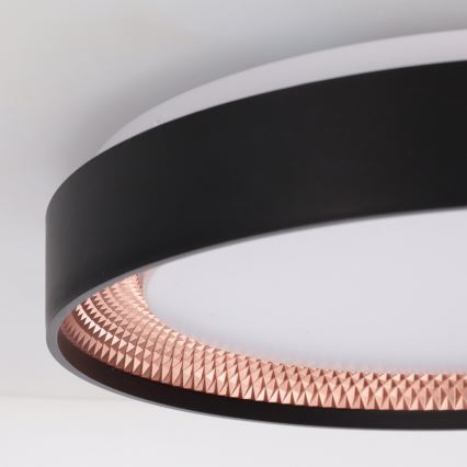 Brilagi - dimeriuojamas LED lubų šviestuvas WALDO LED/48W/230V 3000-6500K skersmuo 40 cm juoda/auksinė + nuotolinio valdymo pultas