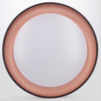 Brilagi - dimeriuojamas LED lubų šviestuvas WALDO LED/48W/230V 3000-6500K skersmuo 40 cm juoda/auksinė + nuotolinio valdymo pultas