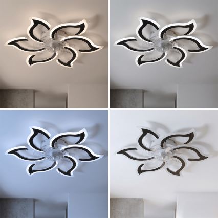Brilagi - reguliuojamas LED lubų ventiliatorius LED/34 W/230 V 3000–6500 K, skersmuo 83 cm, juodas + su nuotoliniu pulteliu