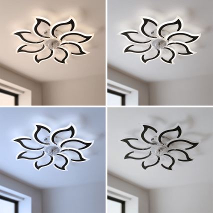 Brilagi - lubinis LED ventiliatorius su reguliuojama šviesa, LED/44W/230V, 3000–6500K, Ø 90 cm, juodas + nuotolinis valdymas