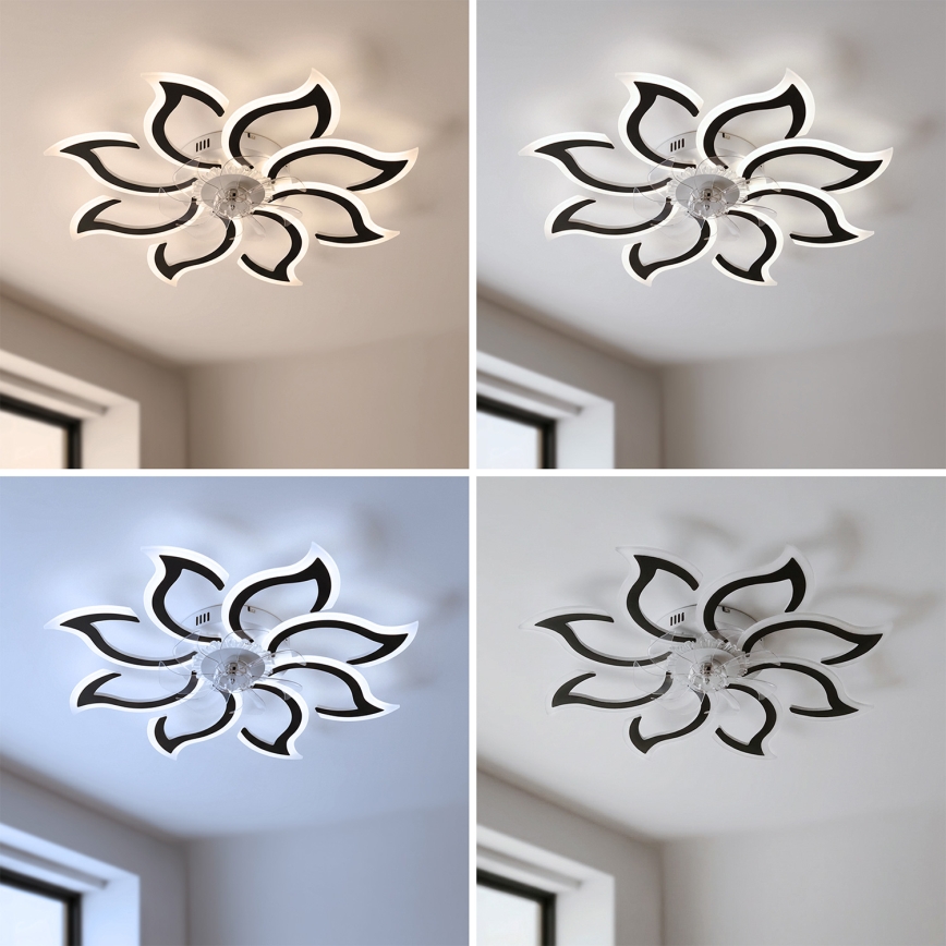 Brilagi - lubinis LED ventiliatorius su reguliuojama šviesa, LED/44W/230V, 3000–6500K, Ø 90 cm, juodas + nuotolinis valdymas