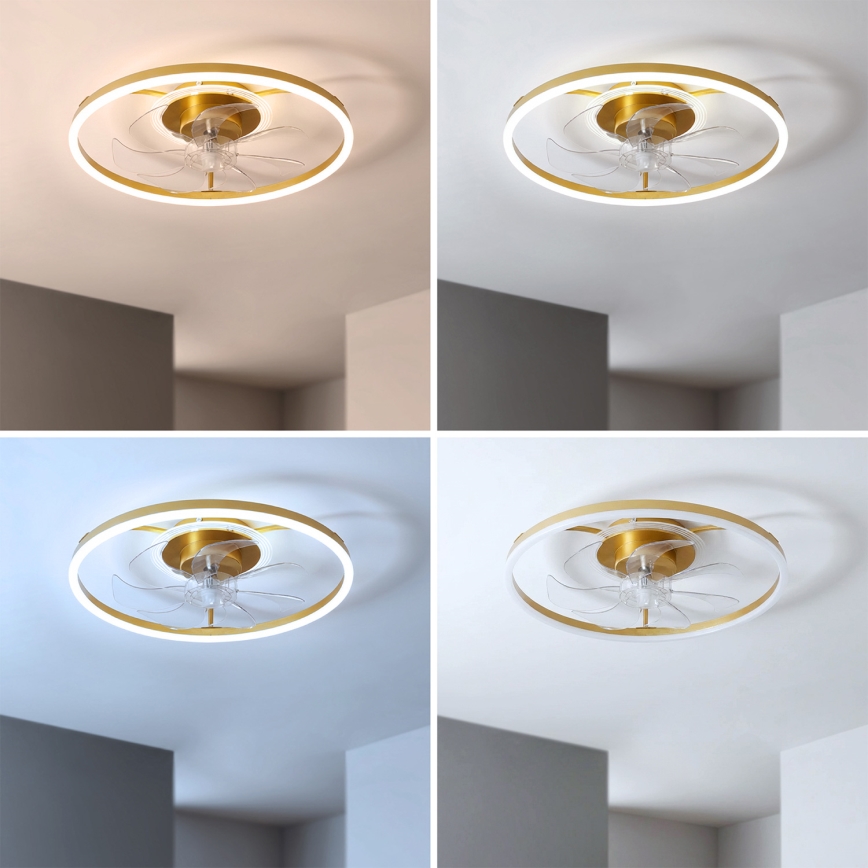 Brilagi - reguliuojamas LED lubinis ventiliatorius 66 W/230 V 3000-6500 K skersmuo 55 cm baltas/auksinis + nuotolinis valdymas