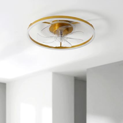 Brilagi - reguliuojamas LED lubinis ventiliatorius 66 W/230 V 3000-6500 K skersmuo 55 cm baltas/auksinis + nuotolinis valdymas