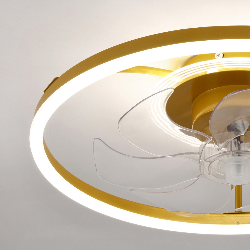 Brilagi - reguliuojamas LED lubinis ventiliatorius 66 W/230 V 3000-6500 K skersmuo 55 cm baltas/auksinis + nuotolinis valdymas