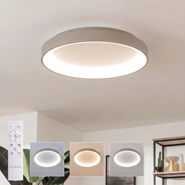 BRILAGI - Dimeriuojamas LED lubų šviestuvas FALCON II LED/99W/230V 3000-6500K skersmuo 60 cm balta/smėlinė + nuotolinis valdymas