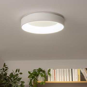 Brilagi - dimeriuojamas LED lubų šviestuvas FALCON LED/40W/230V 3000-6500K Ø 45 cm baltas + su nuotoliniu pultu