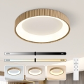 Brilagi - Dimeriuojamas LED lubų šviestuvas FALCON MODERN LED/54W/230V 3000-6500K 60 cm smėlio spalvos + su nuotolinio valdymo pultu